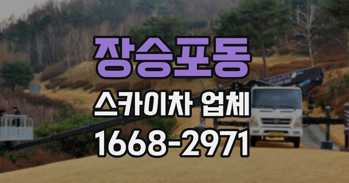 장승포동 스카이차 업체