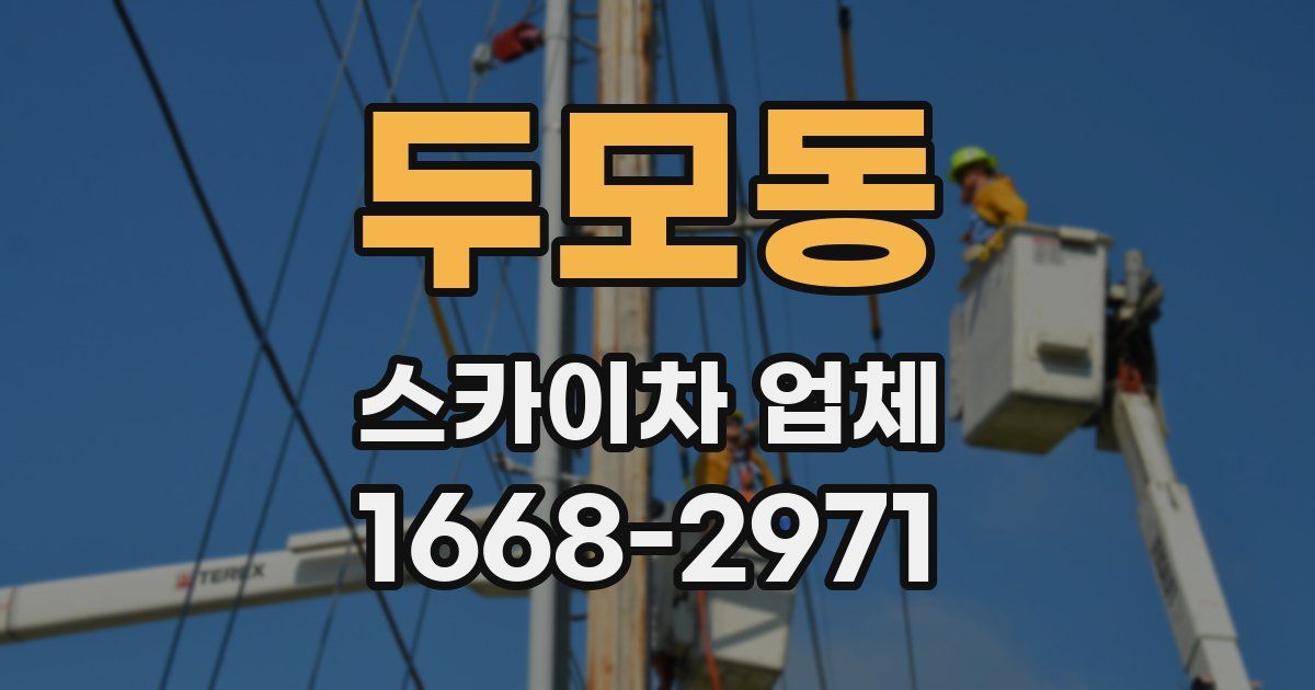 두모동 스카이차 업체