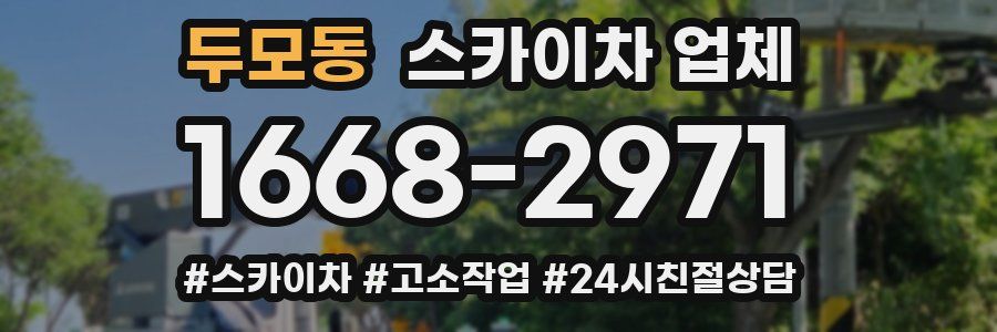 두모동 스카이차 업체