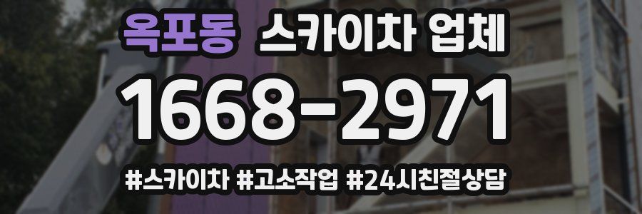 옥포동 스카이차 업체
