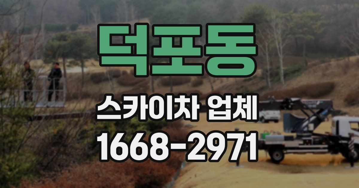 덕포동 스카이차 업체