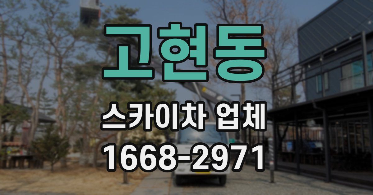 고현동 스카이차 업체