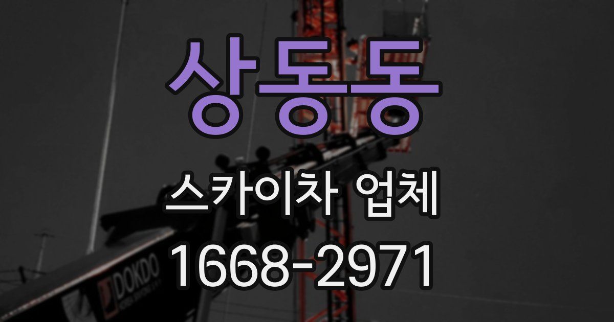 상동동 스카이차 업체
