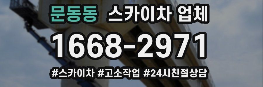 문동동 스카이차 업체