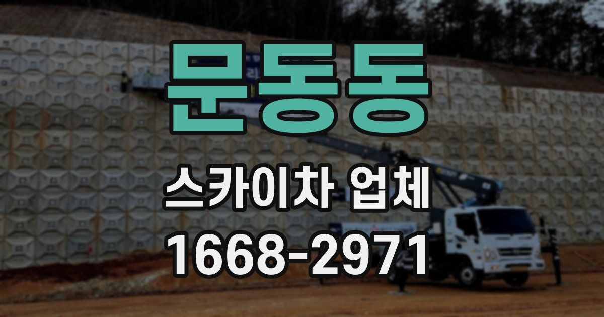 문동동 스카이차 업체