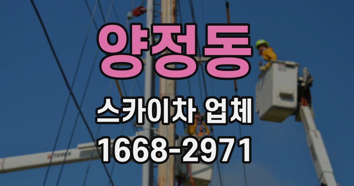 양정동 스카이차 업체