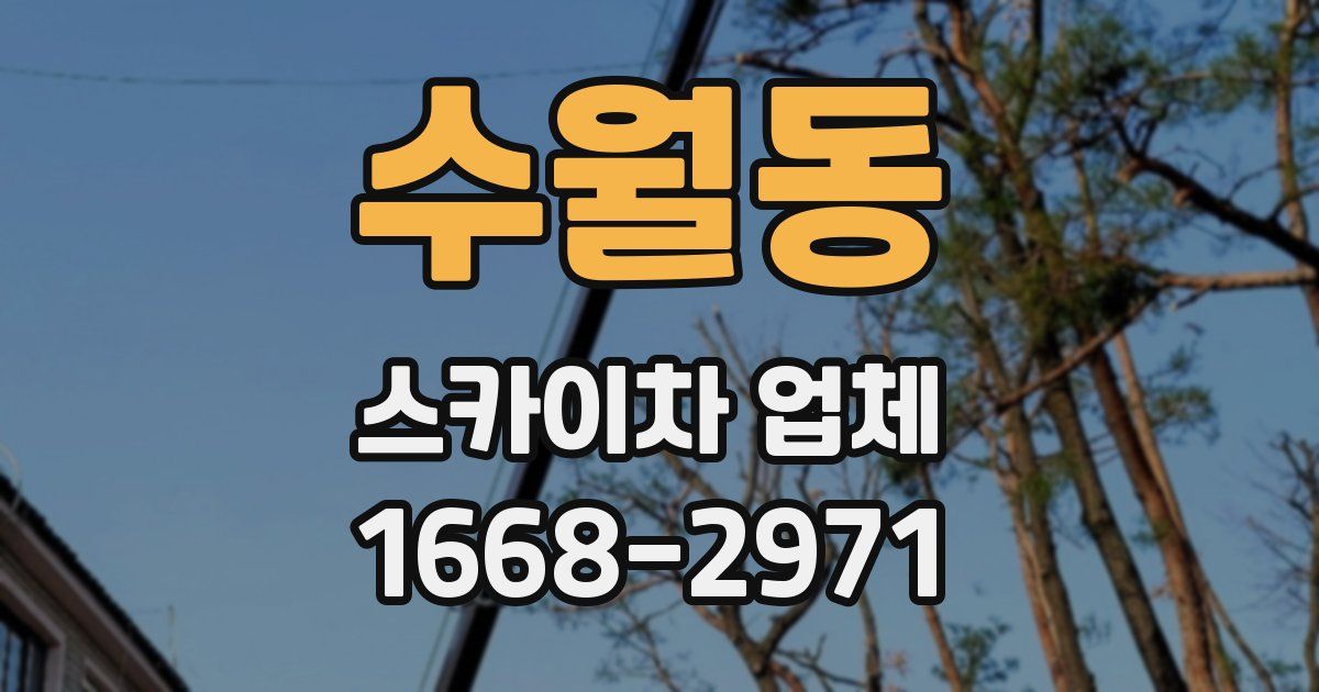 수월동 스카이차 업체