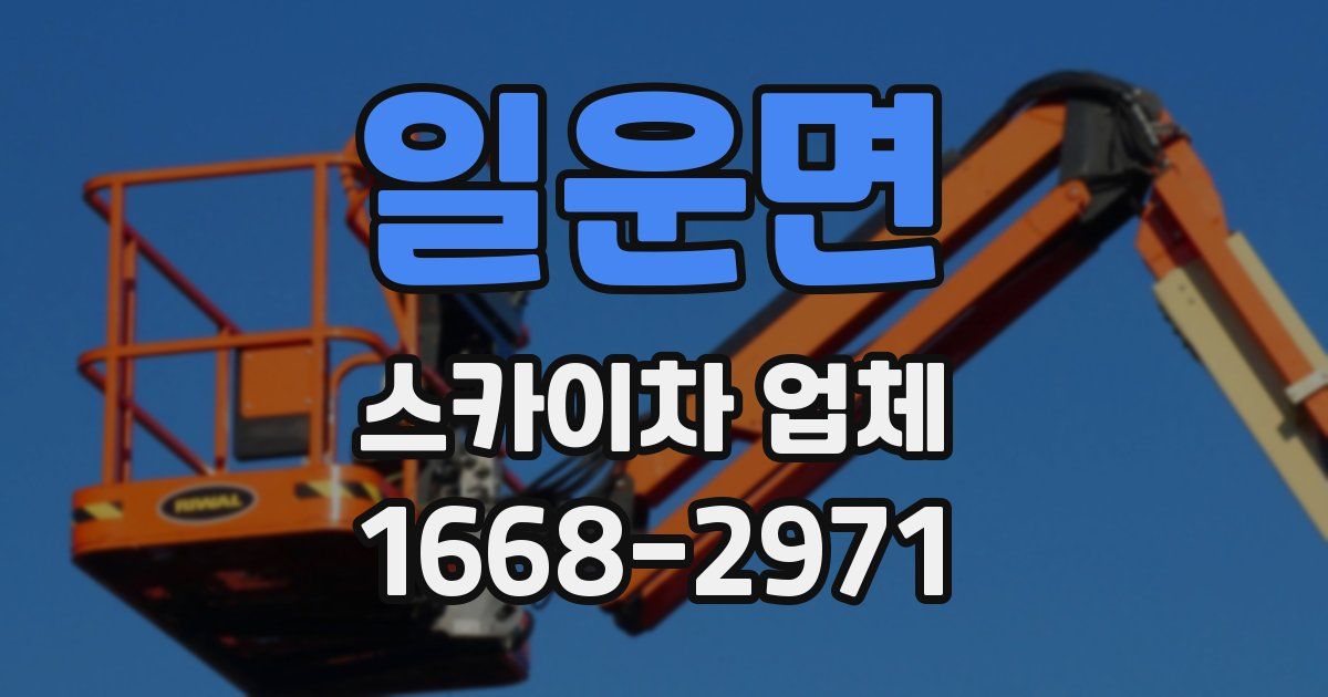 일운면 스카이차 업체