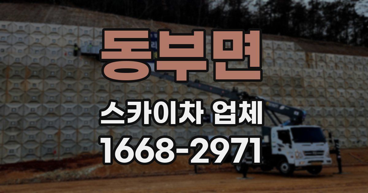 동부면 스카이차 업체