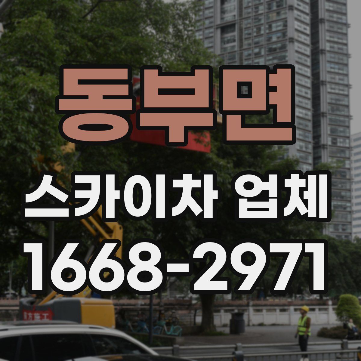 동부면 스카이차 업체