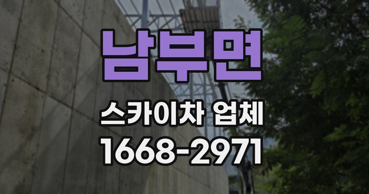 남부면 스카이차 업체