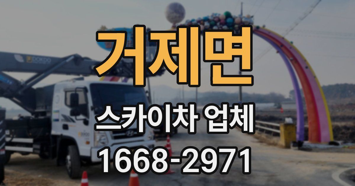 거제면 스카이차 업체