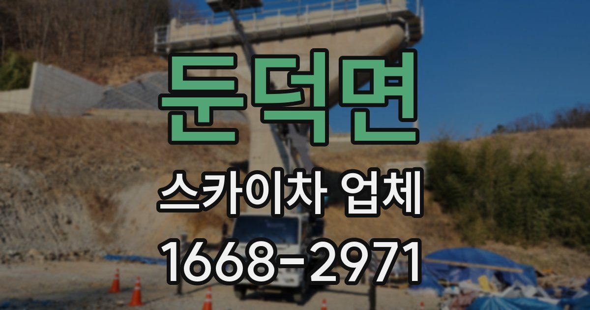 둔덕면 스카이차 업체