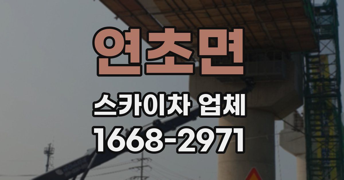 연초면 스카이차 업체