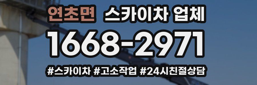 연초면 스카이차 업체