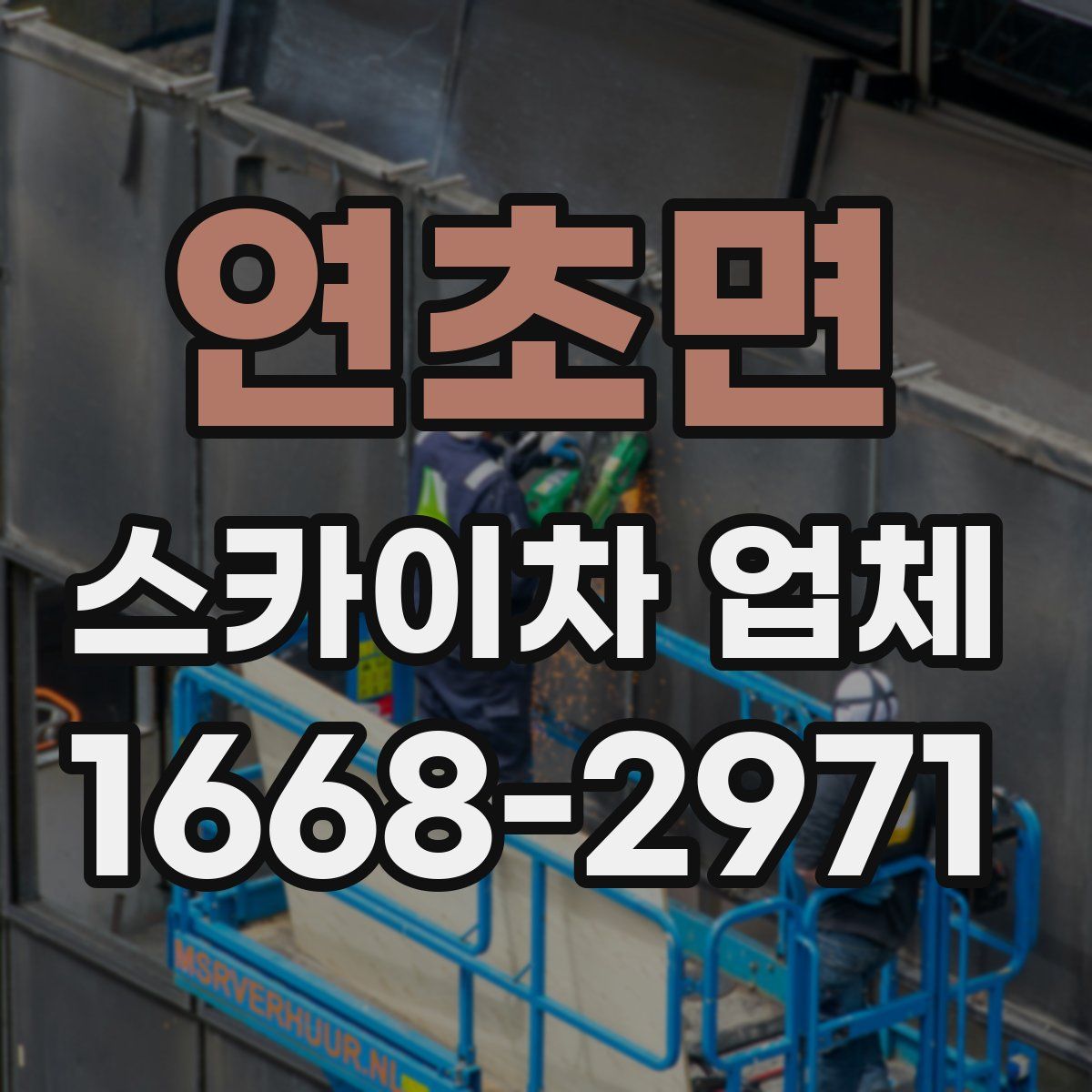 연초면 스카이차 업체
