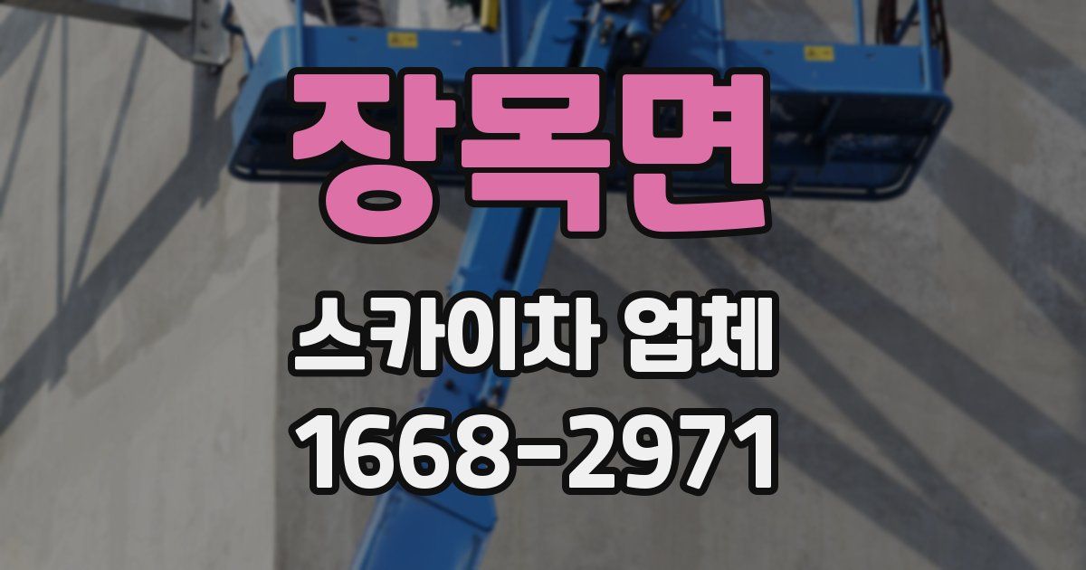 장목면 스카이차 업체