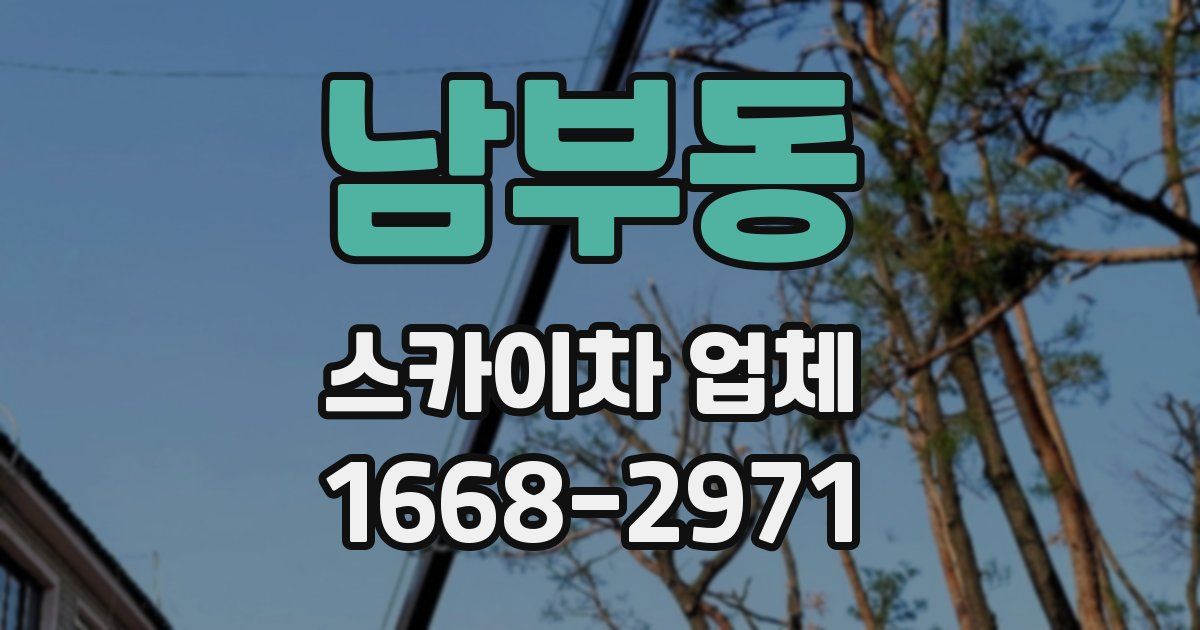 남부동 스카이차 업체