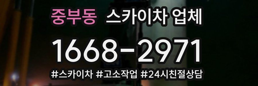 중부동 스카이차 업체