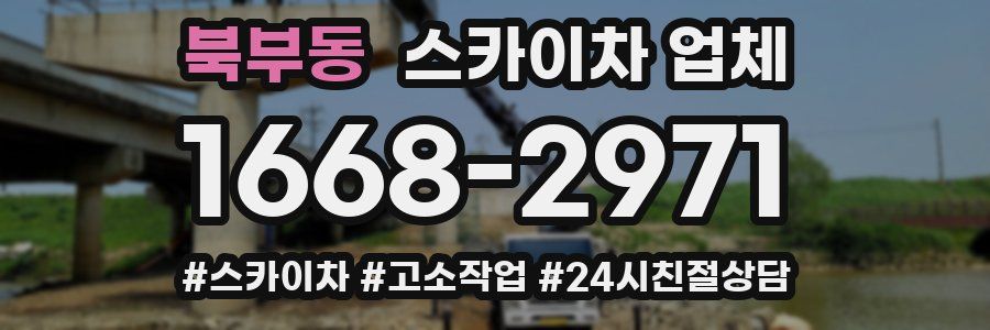 북부동 스카이차 업체