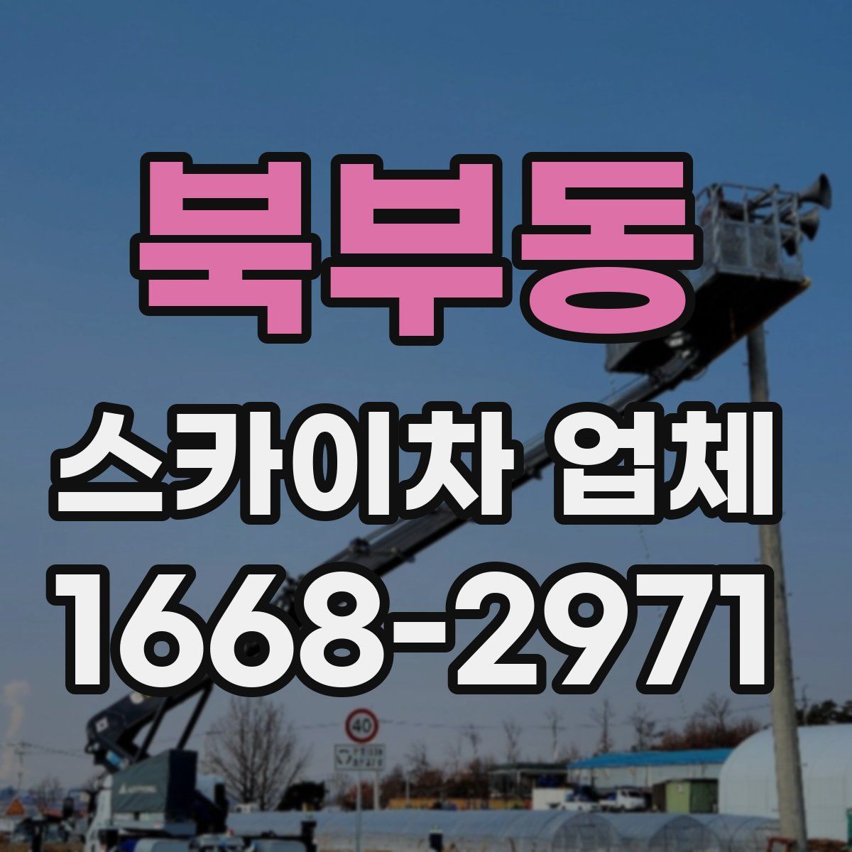 북부동 스카이차 업체