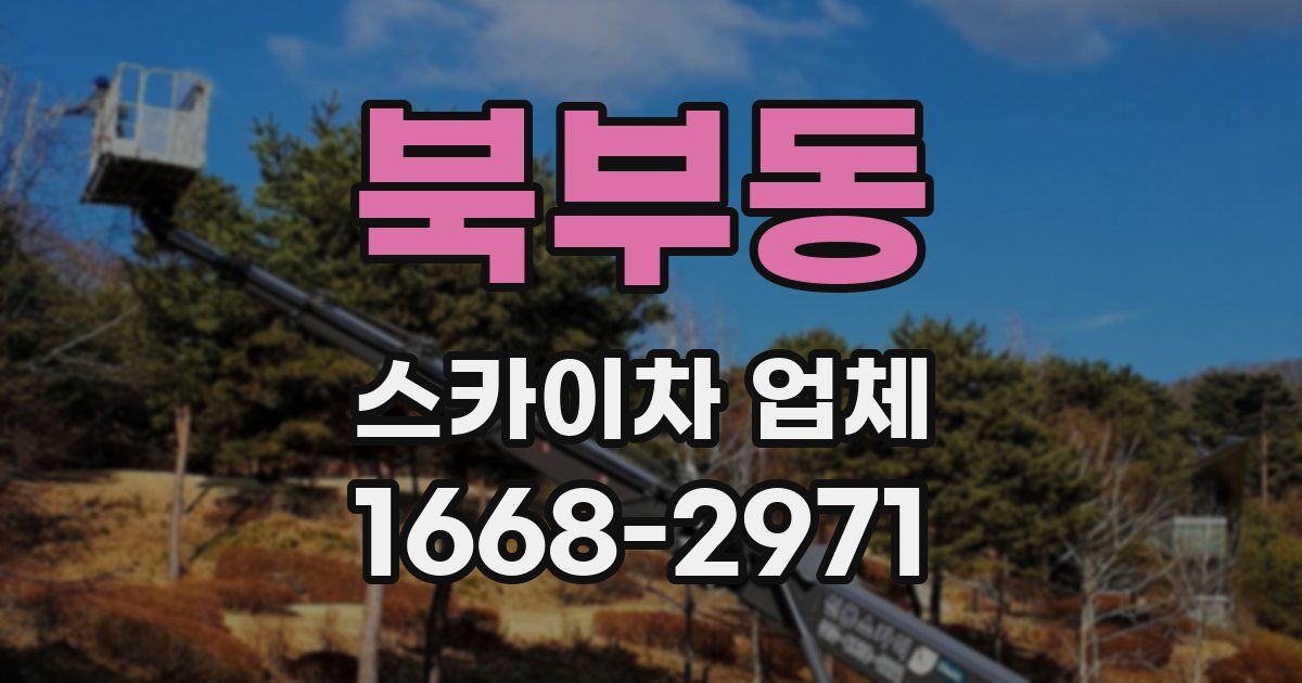 북부동 스카이차 업체