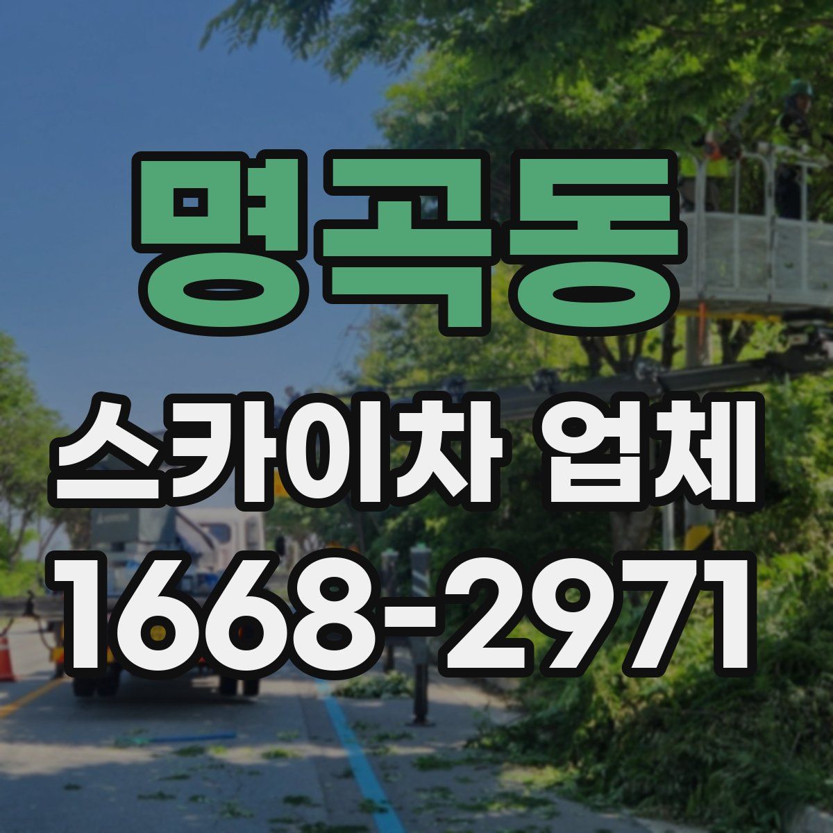 명곡동 스카이차 업체