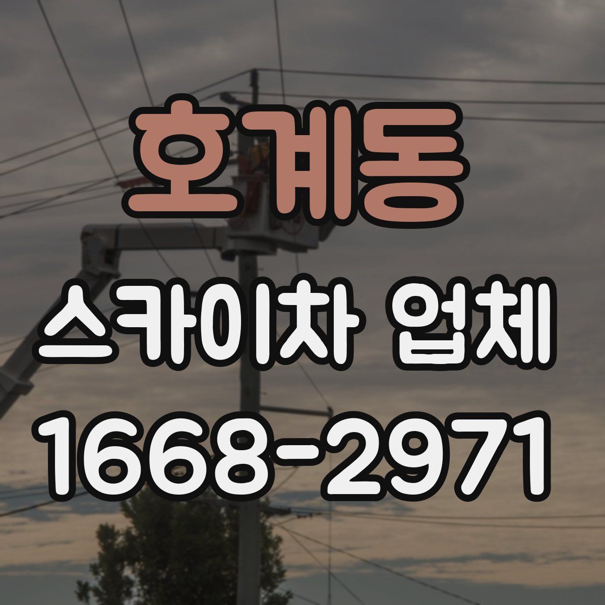 호계동 스카이차 업체