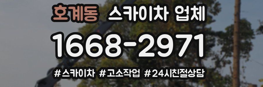 호계동 스카이차 업체