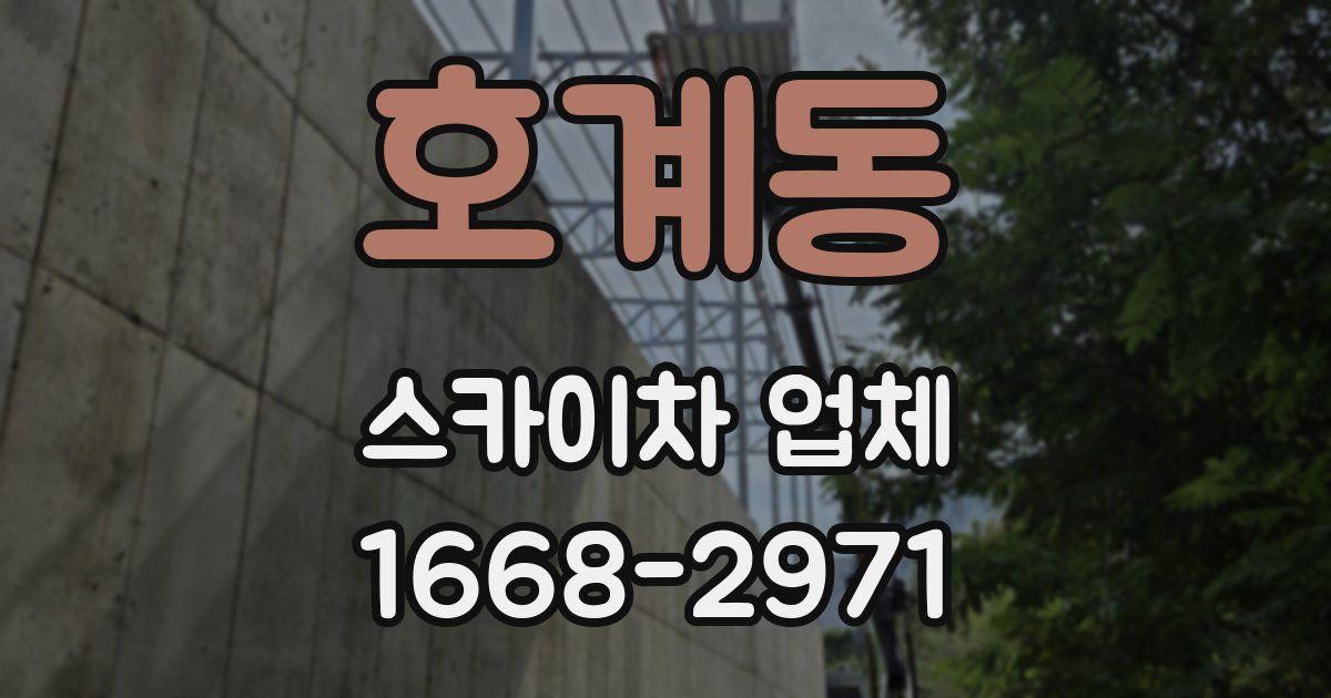 호계동 스카이차 업체