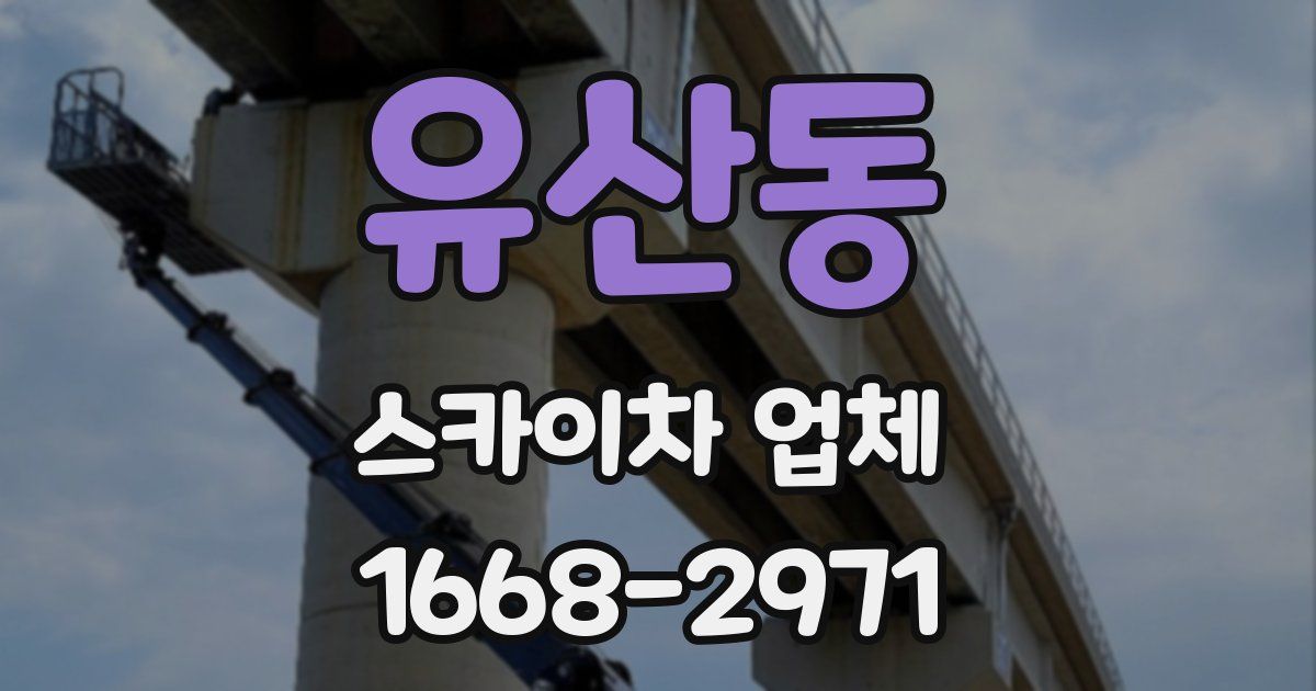 유산동 스카이차 업체