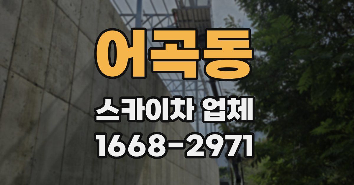 어곡동 스카이차 업체