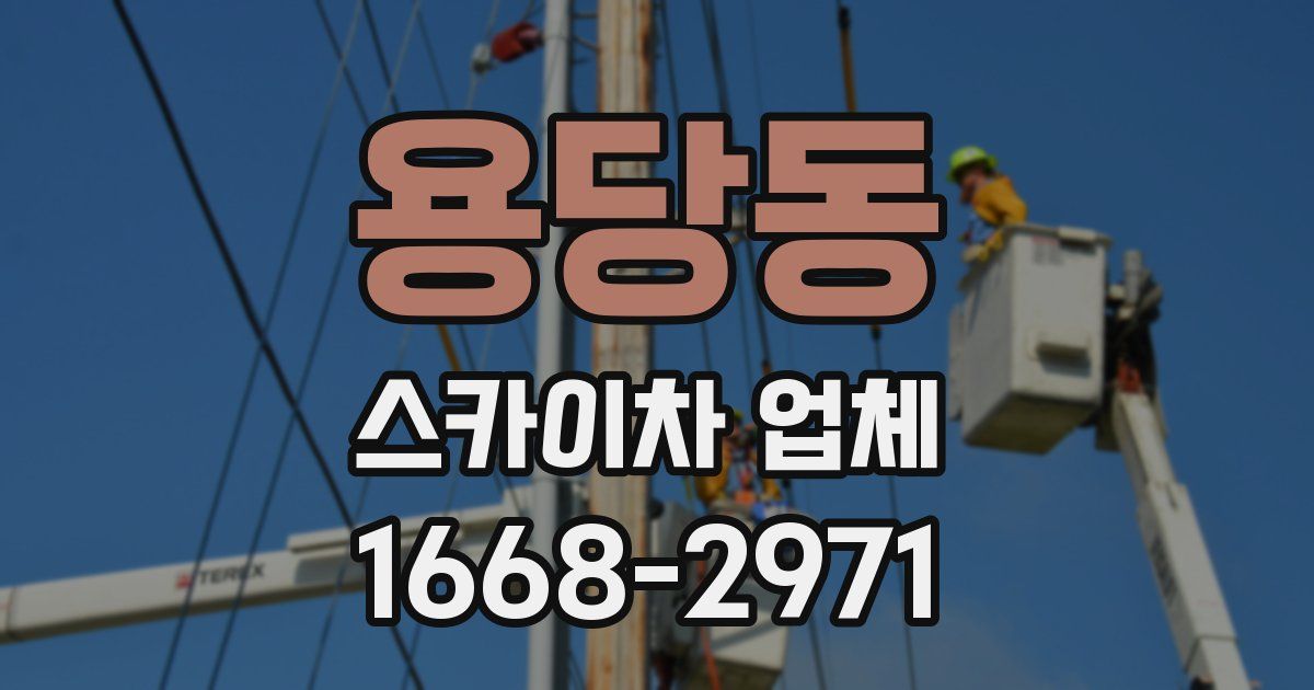 용당동 스카이차 업체