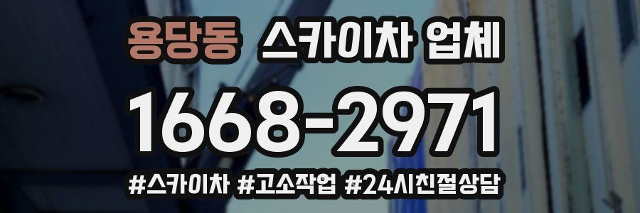 용당동 스카이차 업체