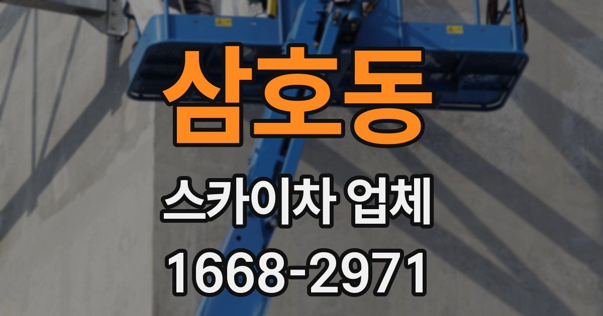 삼호동 스카이차 업체
