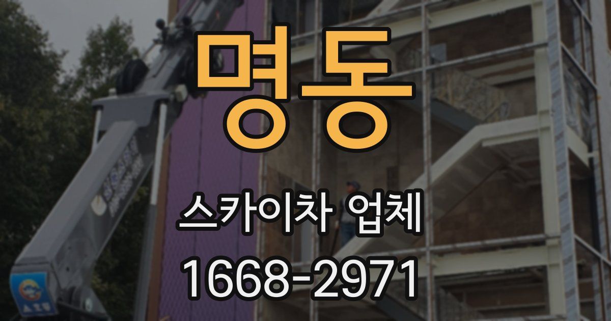 명동 스카이차 업체