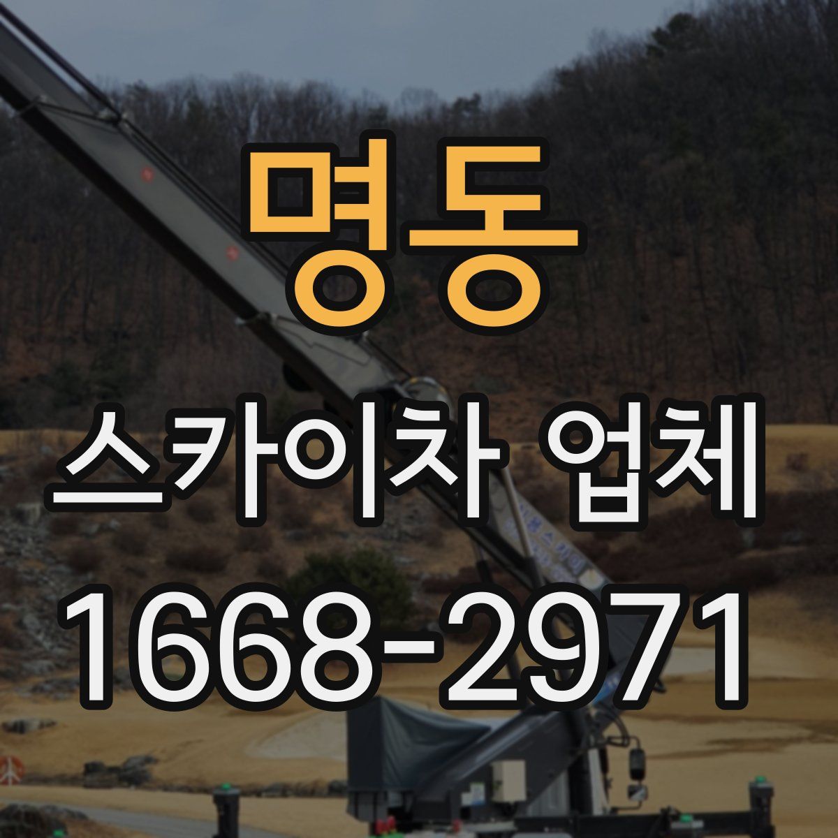명동 스카이차 업체