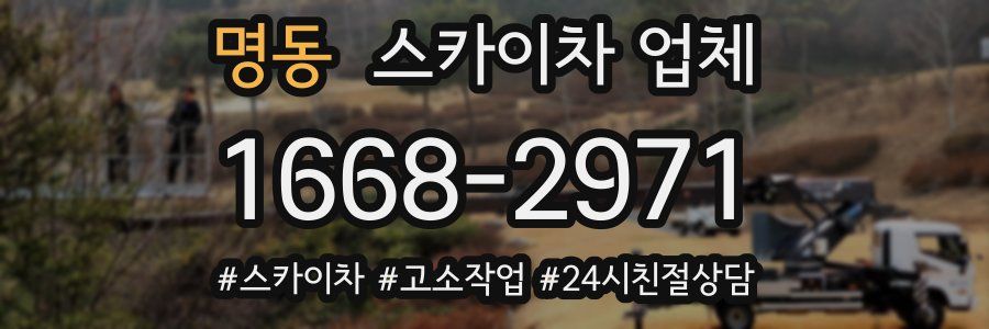 명동 스카이차 업체