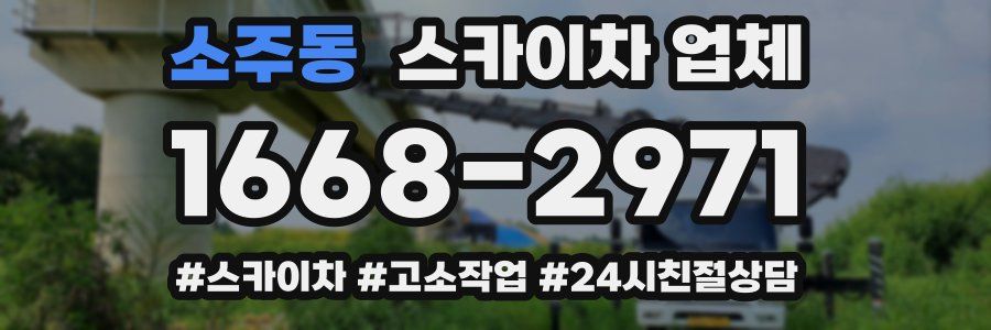 소주동 스카이차 업체