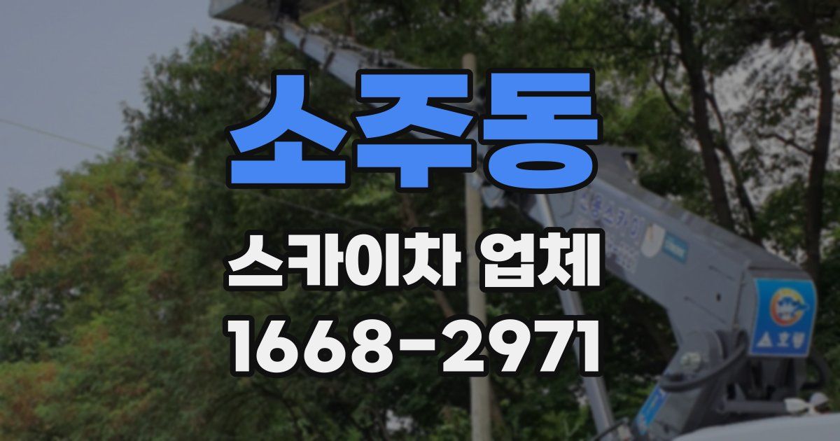 소주동 스카이차 업체