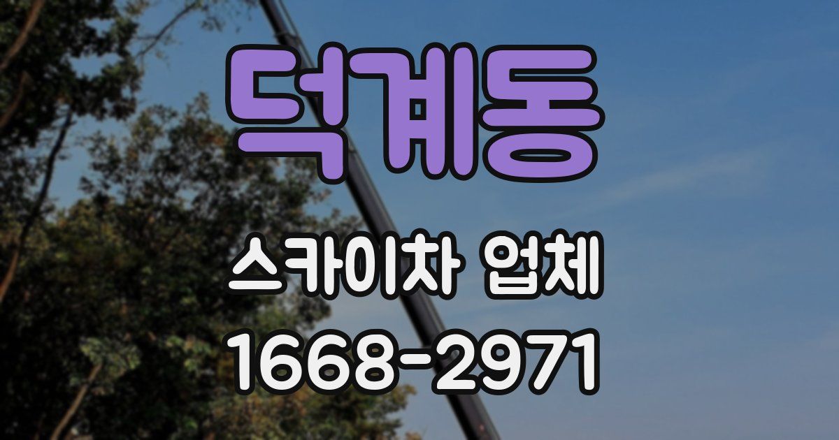 덕계동 스카이차 업체