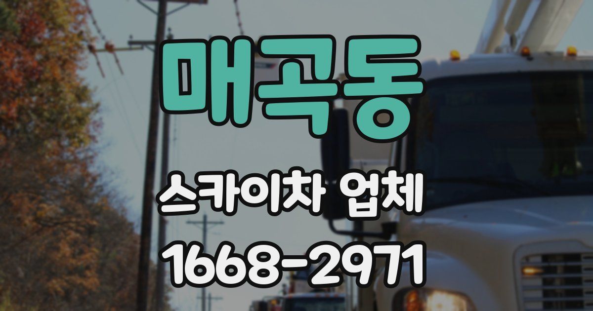 매곡동 스카이차 업체