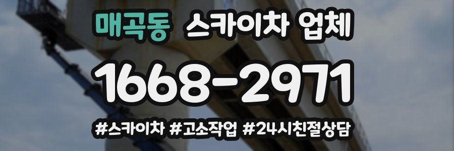 매곡동 스카이차 업체