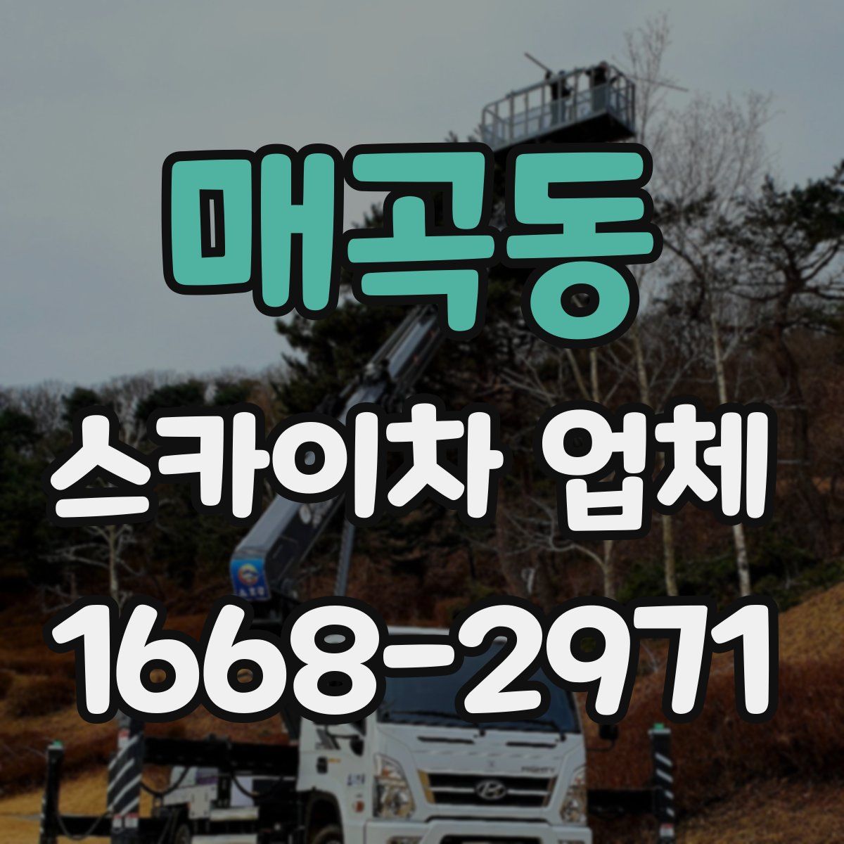 매곡동 스카이차 업체