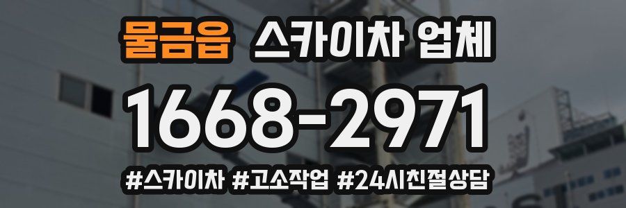 물금읍 스카이차 업체