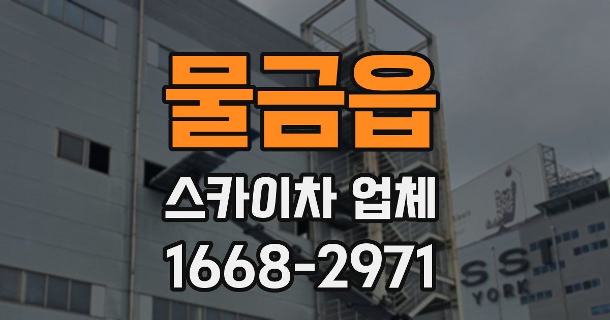 물금읍 스카이차 업체