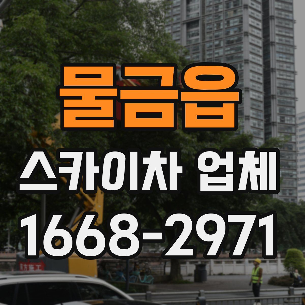 물금읍 스카이차 업체