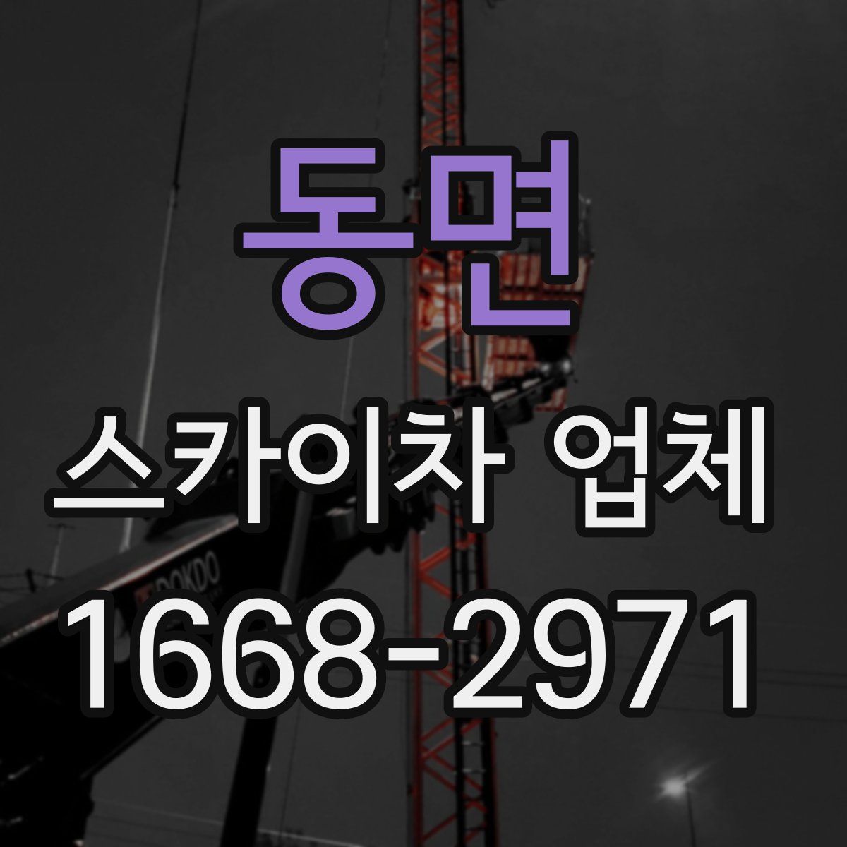 동면 스카이차 업체