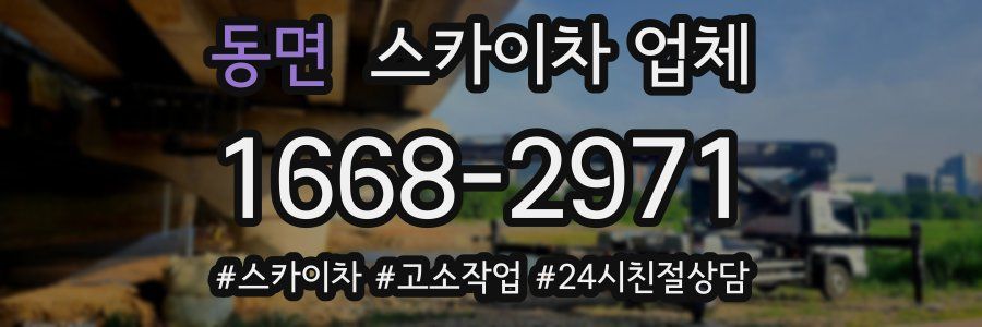 동면 스카이차 업체