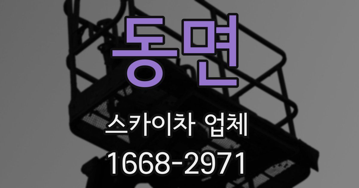 동면 스카이차 업체